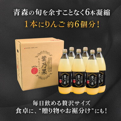 【ふるさと納税】葉とらずりんごジュース2本&家庭用訳あり 青森県産りんご約2.5kg(品種おまかせ) アソートセット【配送不可地域：離島・沖縄県】【1719619】