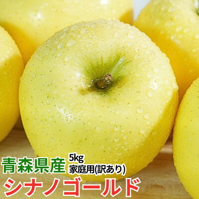 [4月より順次発送]平均糖度13度以上! シナノゴールド 約5kg 訳あり クール便 青森りんご[配送不可地域:離島・沖縄県]