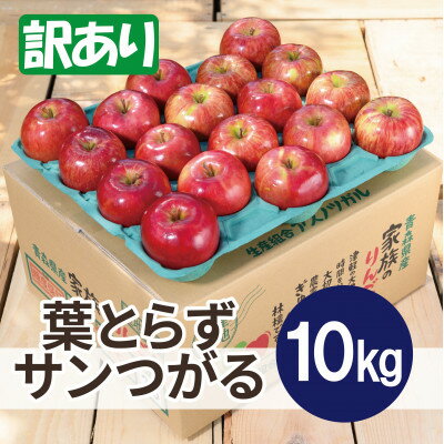 【ふるさと納税】【26年9月から順次発送】平均糖度12度以上! 葉とらずサンつがる 約10kg 訳あり 青森 りんご【配送不可地域：離島・沖縄県】【1734908】