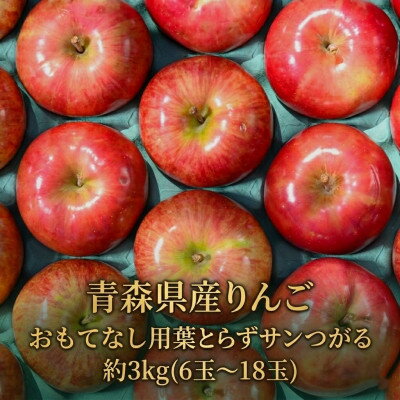 Other - 【ふるさと納税】【2026年9月から発送予定】平均糖度12度以上! 葉とらずサンつがる 約3kg おもてなし用【配送不可地域：離島・沖縄県】【1734910】