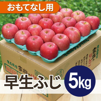Other - 【ふるさと納税】【26年10月から順次発送】平均糖度12度以上! 早生ふじ 約5kg おもてなし用 青森県産 りんご【配送不可地域：離島・沖縄県】【1734950】