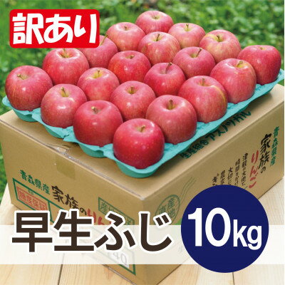 【ふるさと納税】【26年10月から順次発送】平均糖度12度以上! 早生ふじ 約10kg 訳あり 青森県産 りんご【配送不可地域：離島・沖縄県】【1734951】