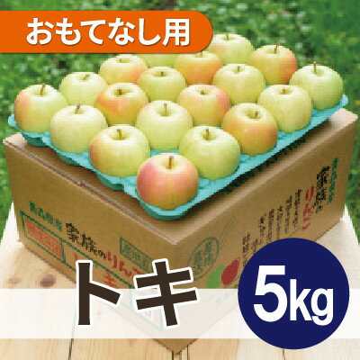 【ふるさと納税】【26年10月から順次発送】平均糖度12度以上! トキ 約5kg おもてなし用 青森県産 りんご【配送不可地域：離島・沖縄県】【1734960】