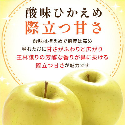 サンプル画像3