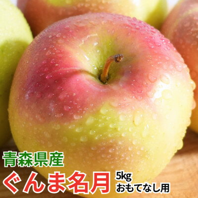 Other - 【ふるさと納税】【26年11月から順次発送!】青森県産 りんご ぐんま名月 約5kg おもてなし用【配送不可地域：沖縄県】【1735211】