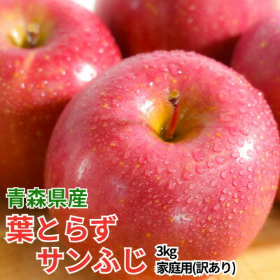 Apple - 【ふるさと納税】【26年11月から順次発送!】青森県産 りんご 葉とらずサンふじ 訳あり家庭用 約3kg【配送不可地域：沖縄県】【1735515】