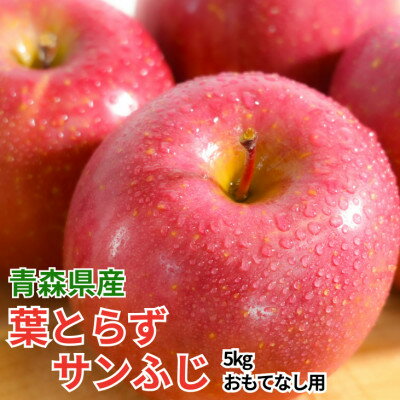 Sun Fuji Apple - 【ふるさと納税】【26年11月から順次発送!】青森県産 りんご 葉とらずサンふじ おもてなし用 約5kg【配送不可地域：沖縄県】【1735532】