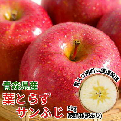 11-12月 蜜入り時期に厳選発送! 青森県産 りんご 訳あり 葉とらずサンふじ 家庭用 約5kg[配送不可地域:沖縄県]