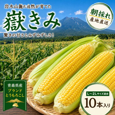 とうもろこし 朝採り 嶽きみ(だけきみ) 10本 L〜2Lサイズ 冷蔵[配送不可地域:離島・沖縄県・九州]