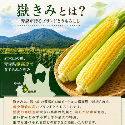 【ふるさと納税】とうもろこし 朝採り 嶽きみ(だけきみ) 10本 L～2Lサイズ 冷蔵【配送不可地域：離島・沖縄県・九州】【1757166】