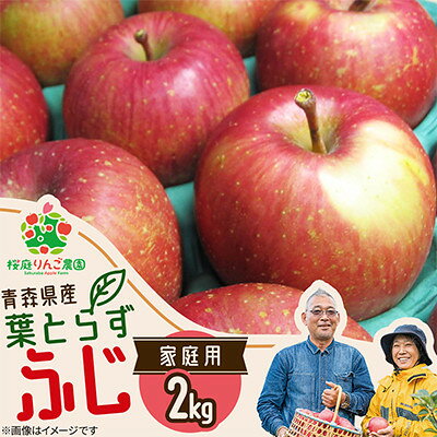 葉とらずふじ家庭用2kg