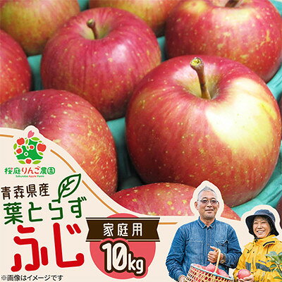 葉とらずふじ家庭用10kg【1789774】
