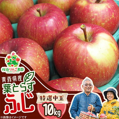 葉とらずふじ特選中玉10kg【1789779】