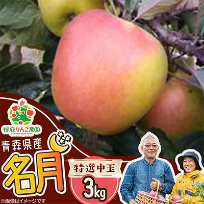 名月特選中玉3kg
