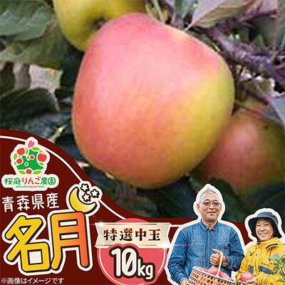 名月特選中玉10kg【1789805】