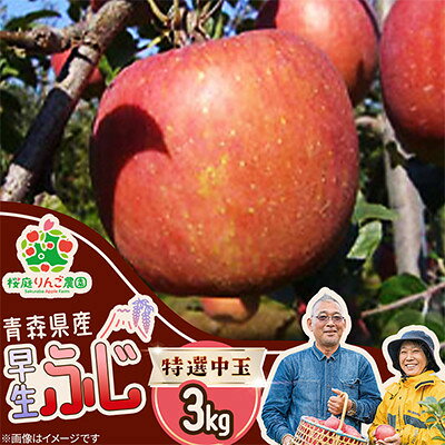 早生ふじ特選中玉3kg