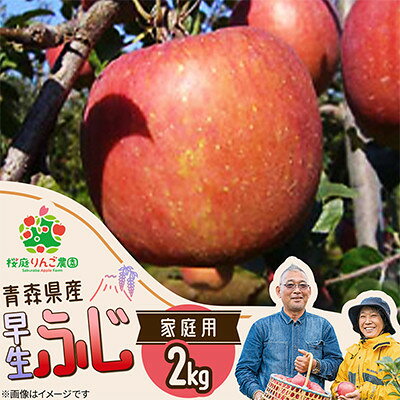 早生ふじ家庭用2kg