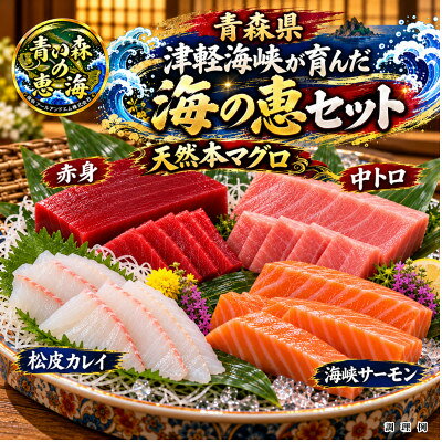 天然本マグロ トロ赤身 中トロ柵 海峡サーモンフィレ 松皮カレイフィレの豪華な刺身ネタセット 4種[配送不可地域:離島]