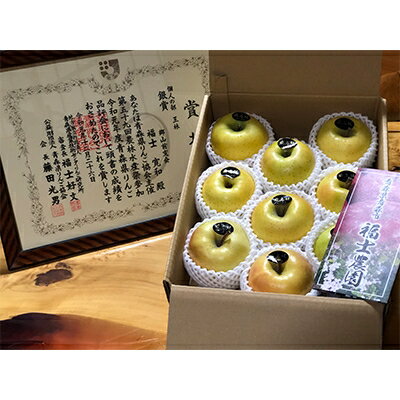 【ふるさと納税】特選「王林」約3kg 糖度14度以上保証_A2-27【配送不可地域：離島】【1085321】のサムネイル