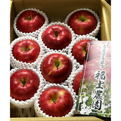 【ふるさと納税】【訳あり】 りんご 希少品種「紅の夢」 家庭用 約3kg (6～12玉)【配送不可地域：離島】【1098510】のサムネイル