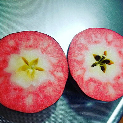 【ふるさと納税】【希少品種】りんご「紅の夢」約3kg 訳あり家庭用_A1-5【1098510】