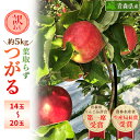 【ふるさと納税】「葉とらずつがる」約5kg・訳あり家庭用りんご【配送不可地域:離島・沖縄県】【1106866】