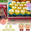 【ふるさと納税】「とき」約5kg・糖度14度以上保証・訳あり家庭用りんご 青森市長賞受賞【配送不可地域:離島・沖縄県】【1106867】