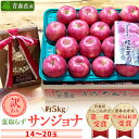 【ふるさと納税】「葉とらずサンジョナ」約5kg・訳あり家庭用りんご 青森市長賞受賞【配送不可地域:離島・沖縄県】【1106868】