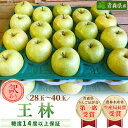 【ふるさと納税】「王林」約10kg・糖度14度以上保証・訳あり家庭用りんご【配送不可地域:離島】【1111234】