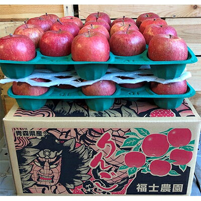【ふるさと納税】りんご「サンふじ」約10kg(糖度14度以上保証・訳あり家庭用)_A3-801【1111235】のサムネイル