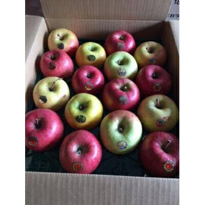 [令和4年11月下旬発送開始]青森りんご バラエティ詰め合わせ 約5kg(家庭用)