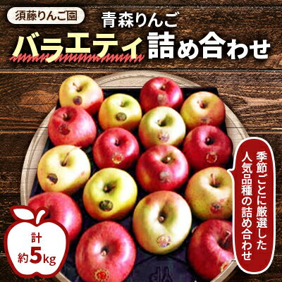 【令和6年11月中旬発送開始】青森りんご　バラエティ詰め合わせ　約5kg(家庭用)【配送不可地域：離島】【1118135】