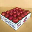 【ふるさと納税】JA青森　青森県産りんご「サンふじ」約5kg