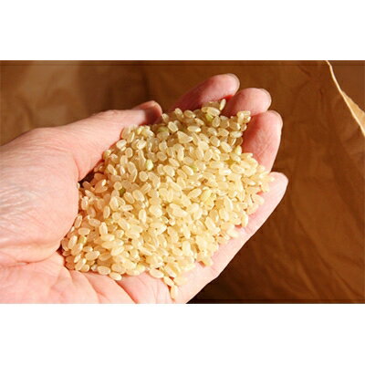 青森県青森市の画像3