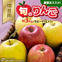 【ふるさと納税】贈答用【2025年8月〜9月発送】農家おススメ!旬のりんご約3kg(9玉〜11玉入り)(冷蔵)【配送不可地域:離島】【1222610】