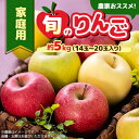 【ふるさと納税】家庭用【2025年8月~9月発送】農家おススメ!旬のりんご約5kg(14玉~20玉入り)(冷蔵)【配送不可地域:離島】【1222616】
