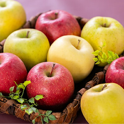 青森県青森市の画像3