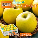 【ふるさと納税】青森市産りんご「シナノゴールド」約5kg(家庭用)【配送不可地域:離島・沖縄県】【1272642】