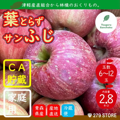 【ふるさと納税】りんご 葉とらずサンふじ 4月から順次発送 家庭用 2.8kg (6～12玉) 津軽産直組合直送♪ 【配送不可地域：離島】【1288027】のサムネイル
