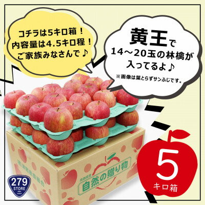 【ふるさと納税】先行受付 2022年産 A品 黄王(きおう) 4.5kg(14〜20玉) 津軽産直組合 青森県産林檎【1289909】