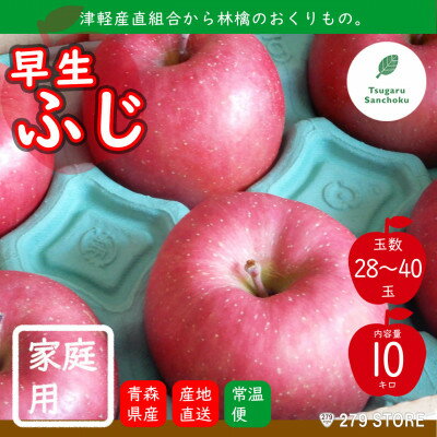 【ふるさと納税】先行受付 2022年産 家庭用 早生ふじ 10kg(28〜40玉) 津軽産直組合 青森県産林檎【1290124】