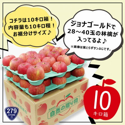 【ふるさと納税】先行受付 2022年産 A品 ジョナゴールド 10キロ(28〜40玉)津軽産直組合 青森県産林檎【1290145】