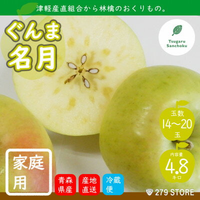 【ふるさと納税】10月下旬頃発送 ぐんま名月 家庭用 5キロ箱 4.8kg 14～20玉 津軽りんご 産地直送【配送不可地域：離島】【1290169】のサムネイル