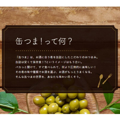 【ふるさと納税】缶つま　牛タン焼き　ねぎ塩だれ　60g×24個【1294151】