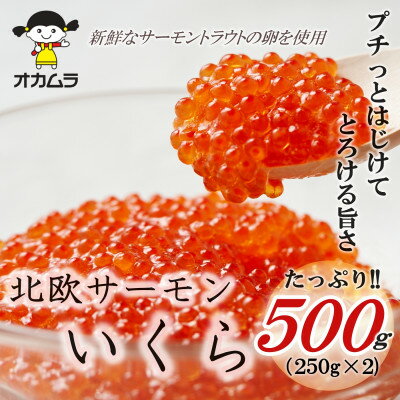 【ふるさと納税】オカムラ食品工業の北欧サーモンいくら 500g(250g×2)【配送不可地域：離島】【1315624】