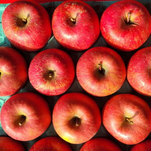 【ふるさと納税】【訳あり】青森県産りんご「サンふじ家庭用」約3kg 産地直送!【配送不可地域:離島】【1321108】