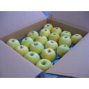 【ふるさと納税】青森市産りんご「葉取らず王林」約5kg(家庭用)【配送不可地域:離島・沖縄県】【1346244】