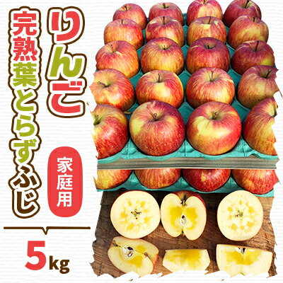 【ふるさと納税】【2024年先行予約】りんご 完熟葉とらずふじ 5kg (家庭用)【配送不可地域：離島・沖...