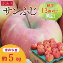 【ふるさと納税】糖度13度以上サンふじ約5kg訳あり家庭用【配送不可地域:離島・沖縄県】【1391452】