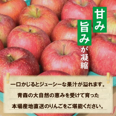 【ふるさと納税】【CAりんご】糖度13度以上保証サンふじ約5kg贈答用【配送不可地域：離島・沖縄県】【1391463】